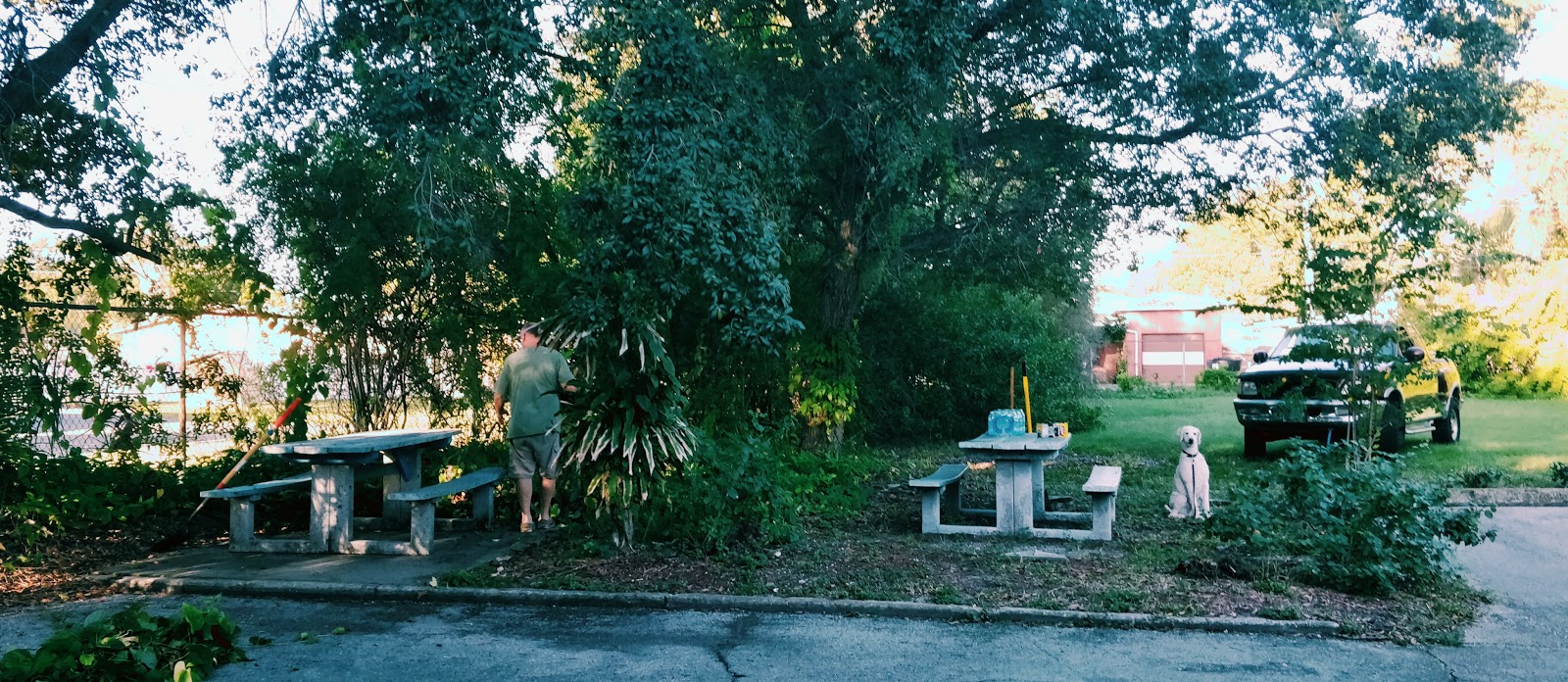 Suncoast Center - Community Programs